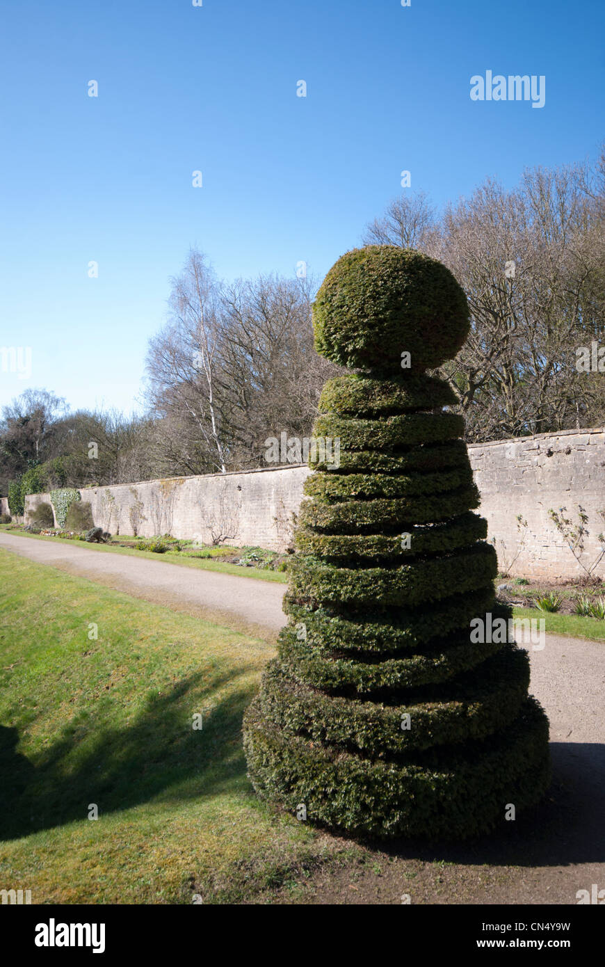 Eibe (Taxus Baccata) verwendet fr die Kunst der Hecke Stockfotografie -  Alamy