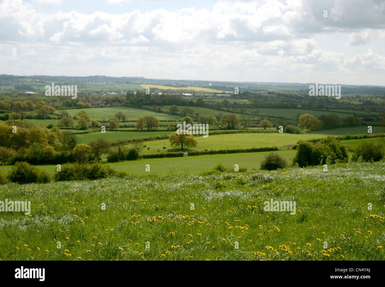 Blick über grüne Felder in Derbyshire Stockfoto