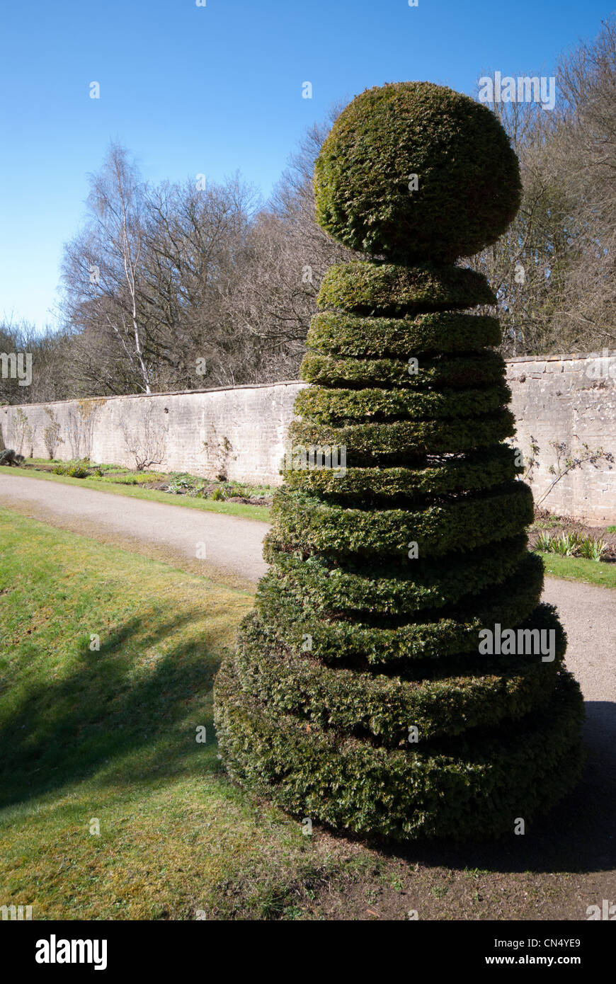 Eibe (Taxus Baccata) verwendet fr die Kunst der Hecke Stockfotografie -  Alamy