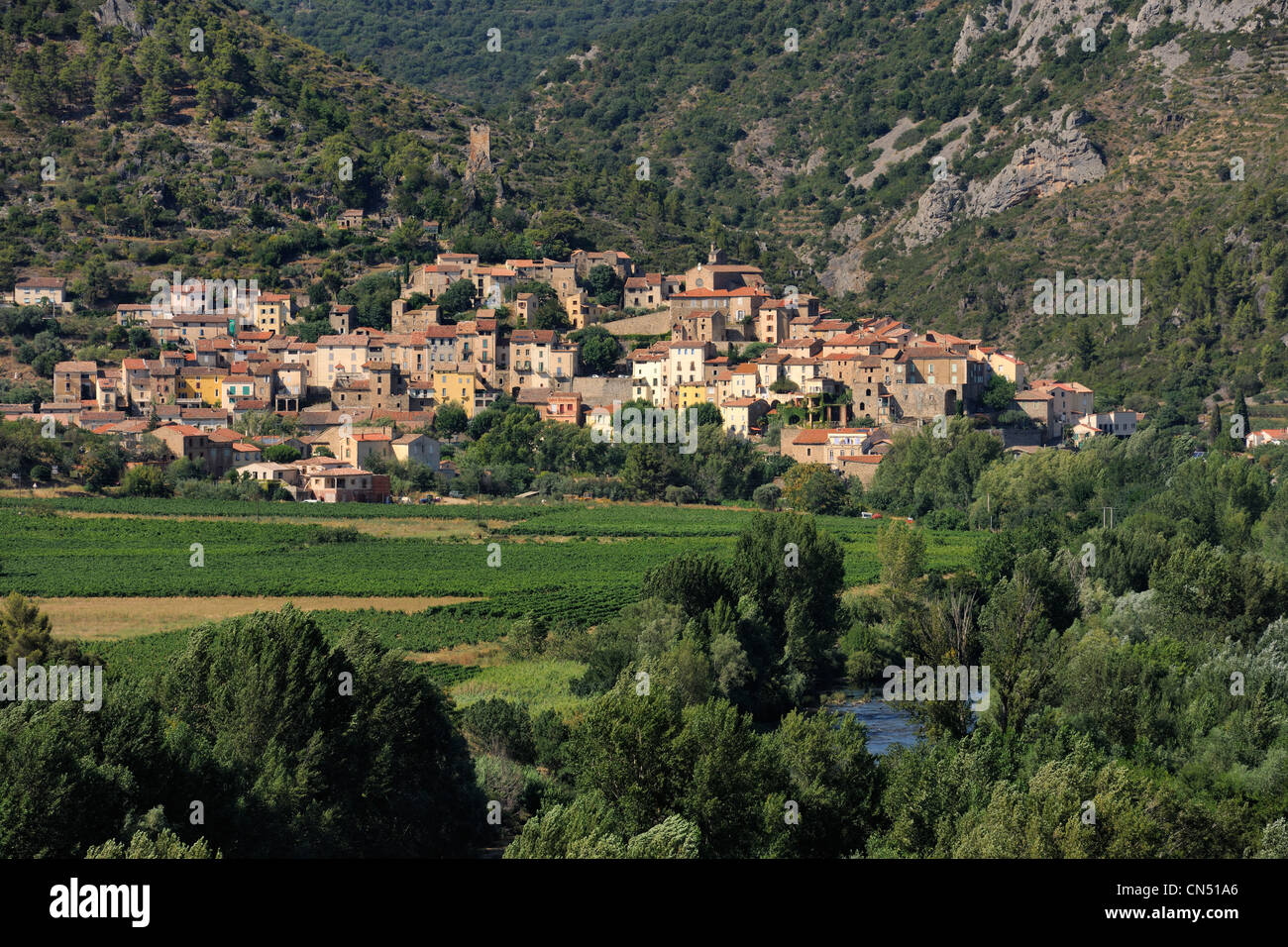 Frankreich, Herault, Orb Tal, Dorf Roquebrune in der Ferne und AOC Saint Chinian und Roquebrun Stockfoto