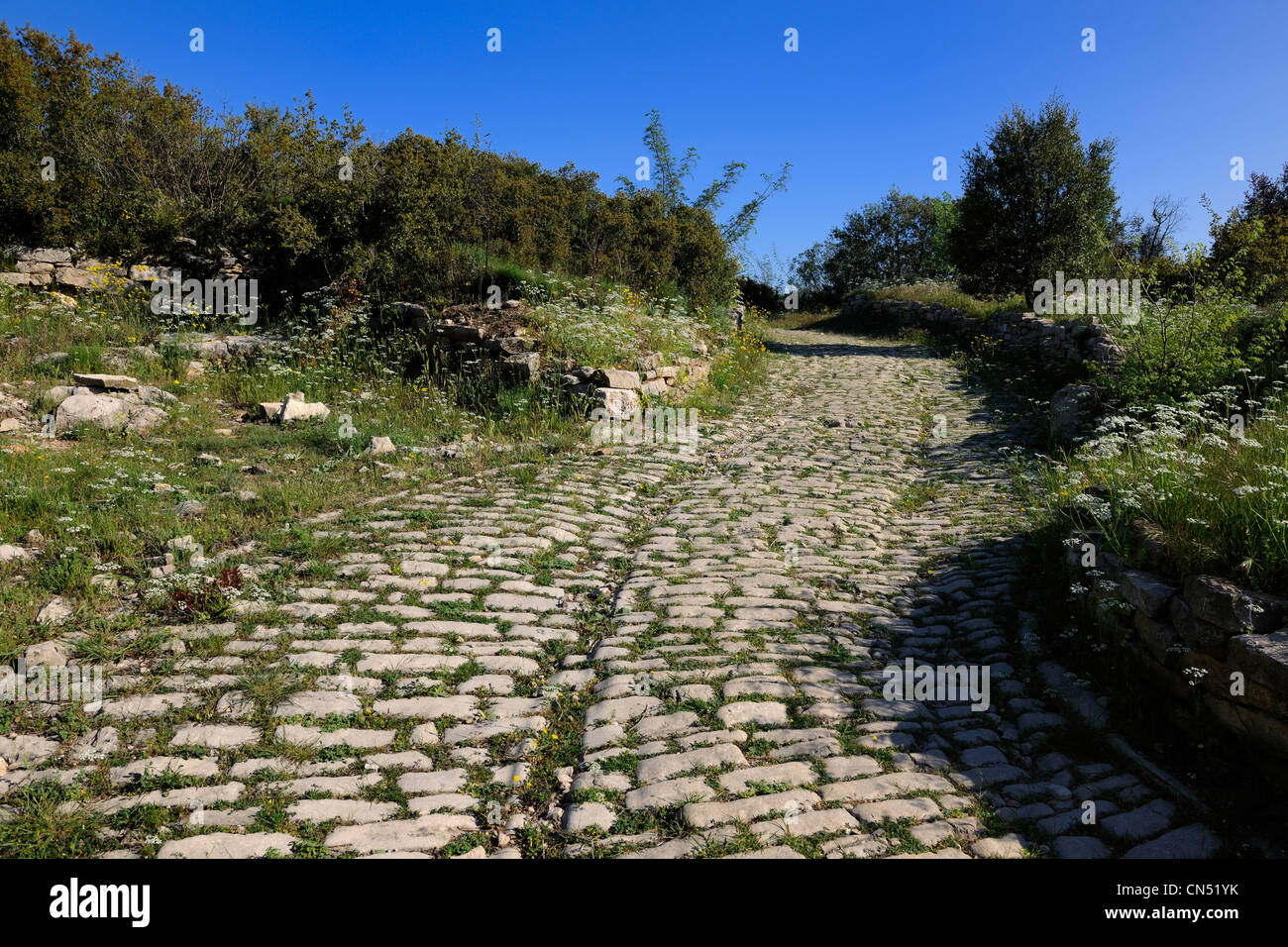 Frankreich, Hérault, in der Nähe von Lunel, Oppidum Ambrussum auf der Via Domitia, gepflasterten Straßen, die durch den Durchgang der Waggons abgenutzt Stockfoto