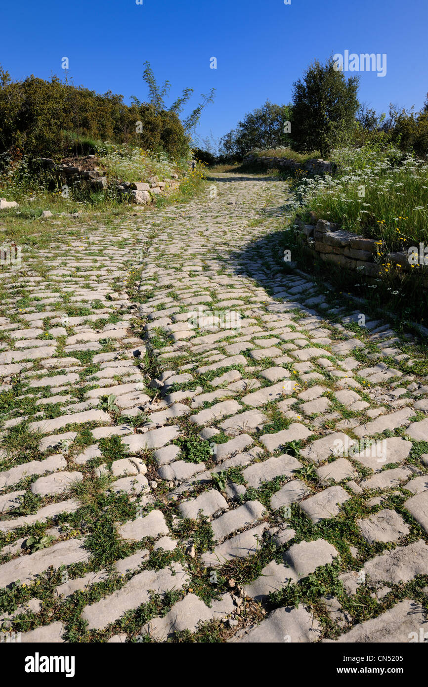 Frankreich, Hérault, in der Nähe von Lunel, Oppidum Ambrussum auf der Via Domitia, gepflasterten Straßen, die durch den Durchgang der Waggons abgenutzt Stockfoto