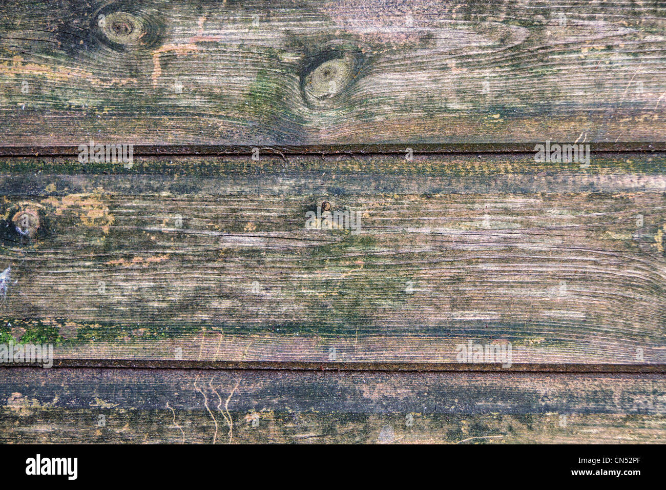 Aus Holz getäfelte Wand ein Gartenhaus Stockfoto