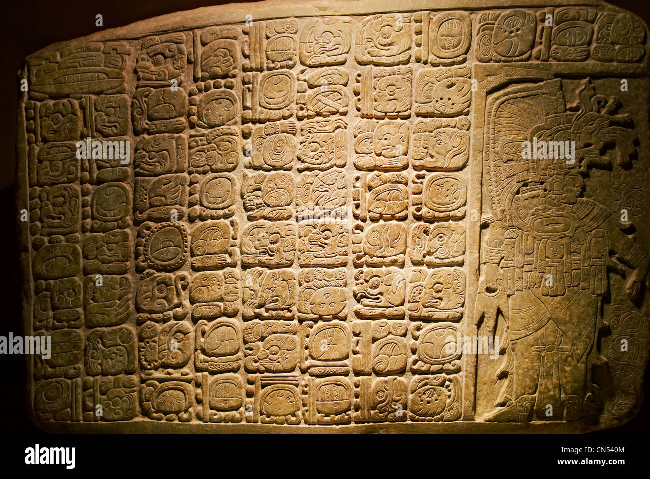 Ein Maya-Stelen von der Website von La Corona in Guatemala-Stadt Archäologische Nationalmuseum ausgestellt. Stockfoto