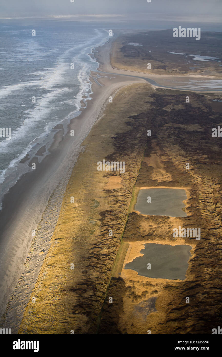 Niederlande, Nordholland, Texel, der Westküste der Insel, Naturschutzgebiet (Luftbild) Stockfoto