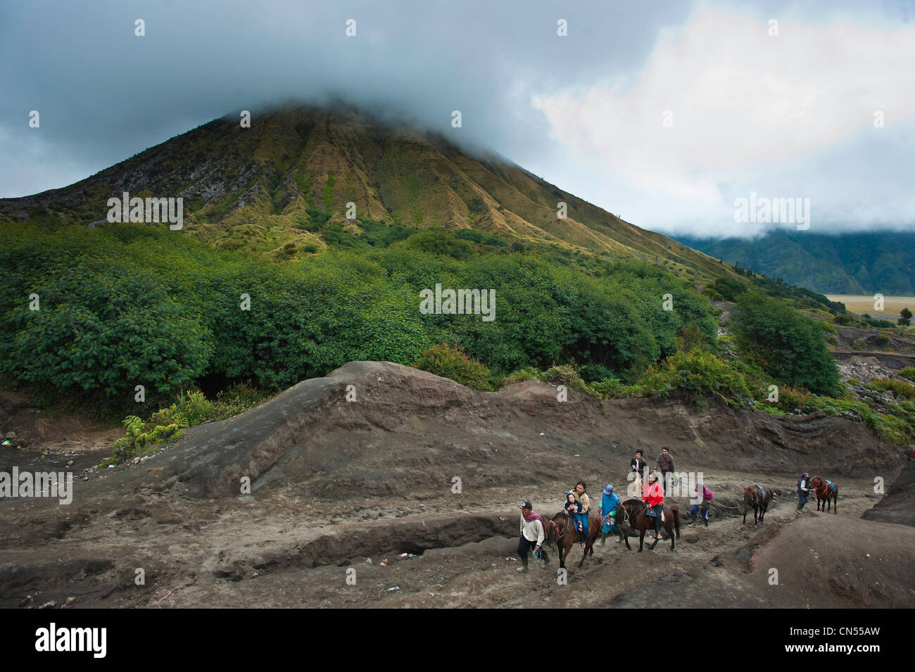 Indonesien, Java, Provinz Ost-Java, Bromo Tengger Semeru Nationalpark, Reiter bringen Touristen auf Gunung Bromo Krater Stockfoto