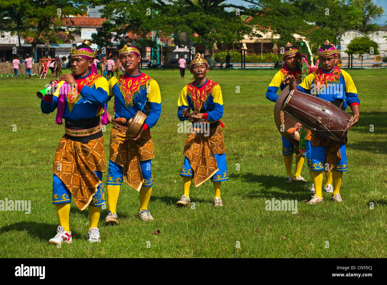 Indonesien, Java, Provinz Ost-Java, Madura Island, Bangkalan, bull Rasse namens Kerapan Sapis, Vorbereitung vor dem Rennen Stockfoto