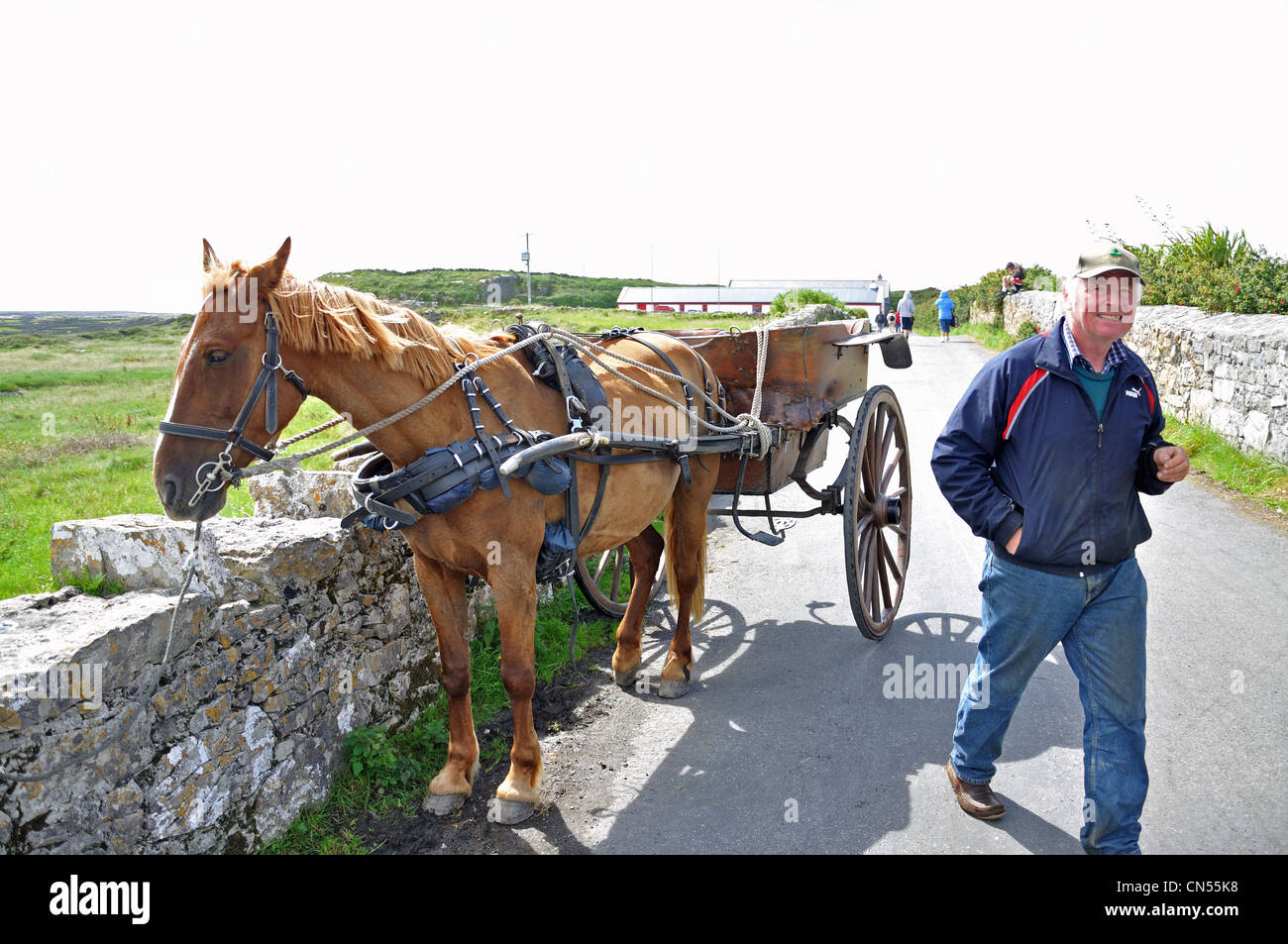 Pferdekutsche Wagen und Fahrer Inishmore Aran Island Stockfoto