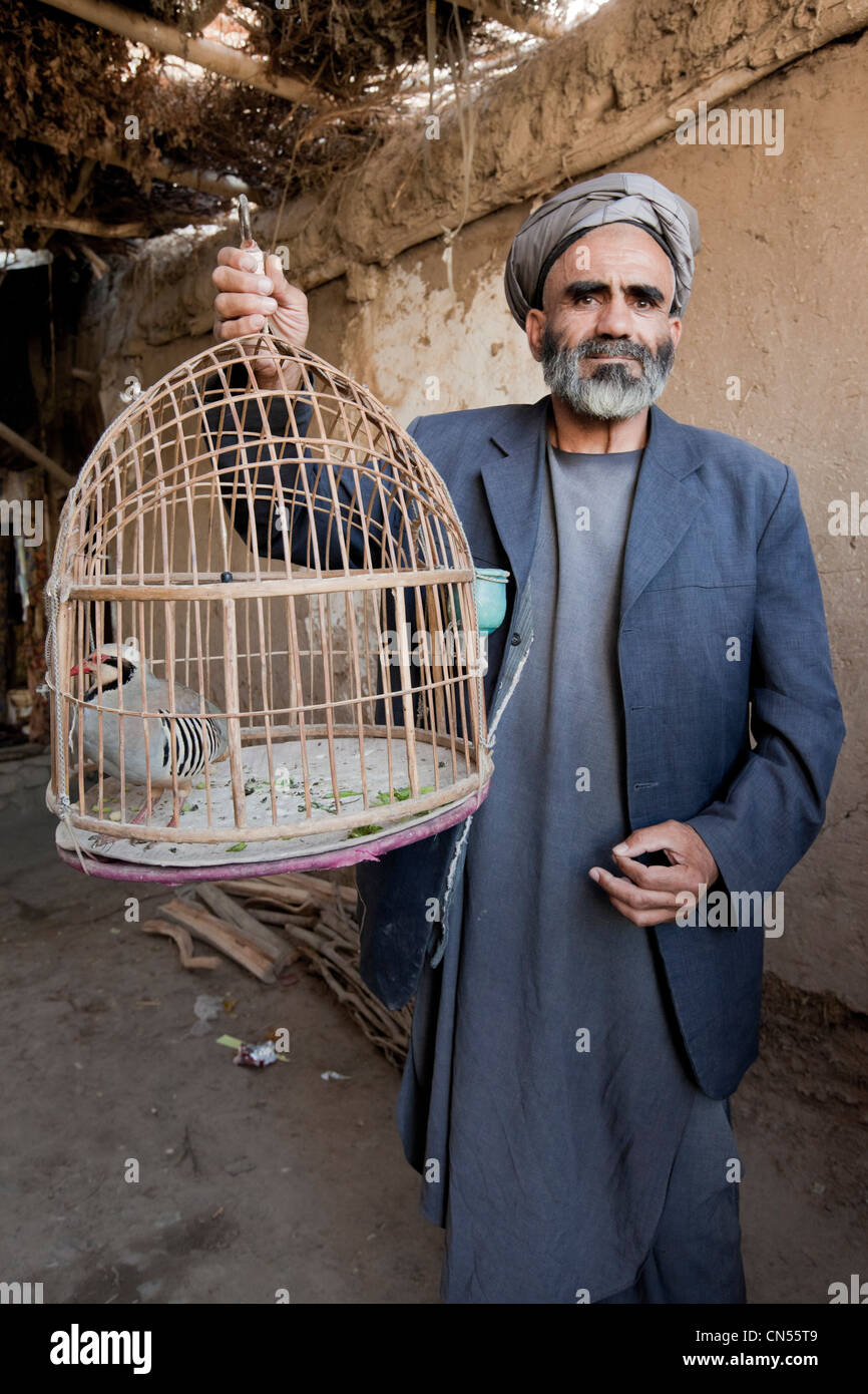 Afghanistan, Provinz Badakhshan, Faizabad, Alter Mann zeigt stolz seinen Vogel in einem Käfig, Markt, Basar Stockfoto