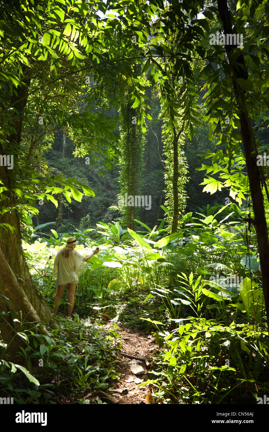 Eine Frau fotografiert die Dschungel-Szene auf Koh Yao Noi, einer der Inseln Thailands. Stockfoto