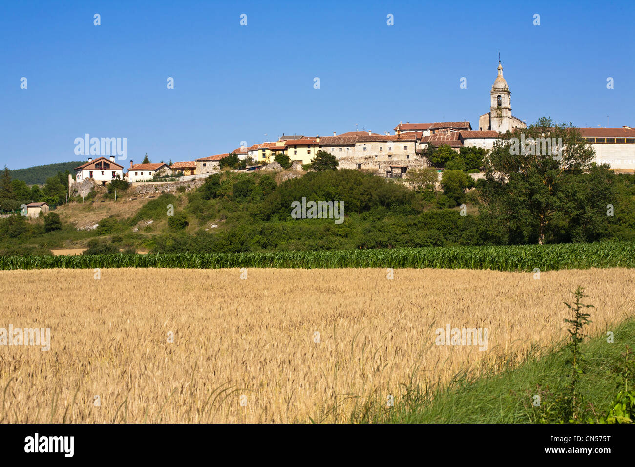 Spanien, Weizen und Mais Felder am Fuße des Dorfes Alava, Baskenland, Urizaharra (Peñacerrada in spanischer Sprache) Stockfoto