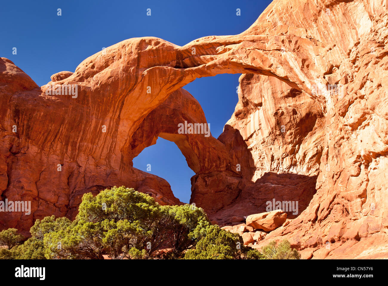 Double Arch im Arches-Nationalpark, Utah, USA Stockfoto
