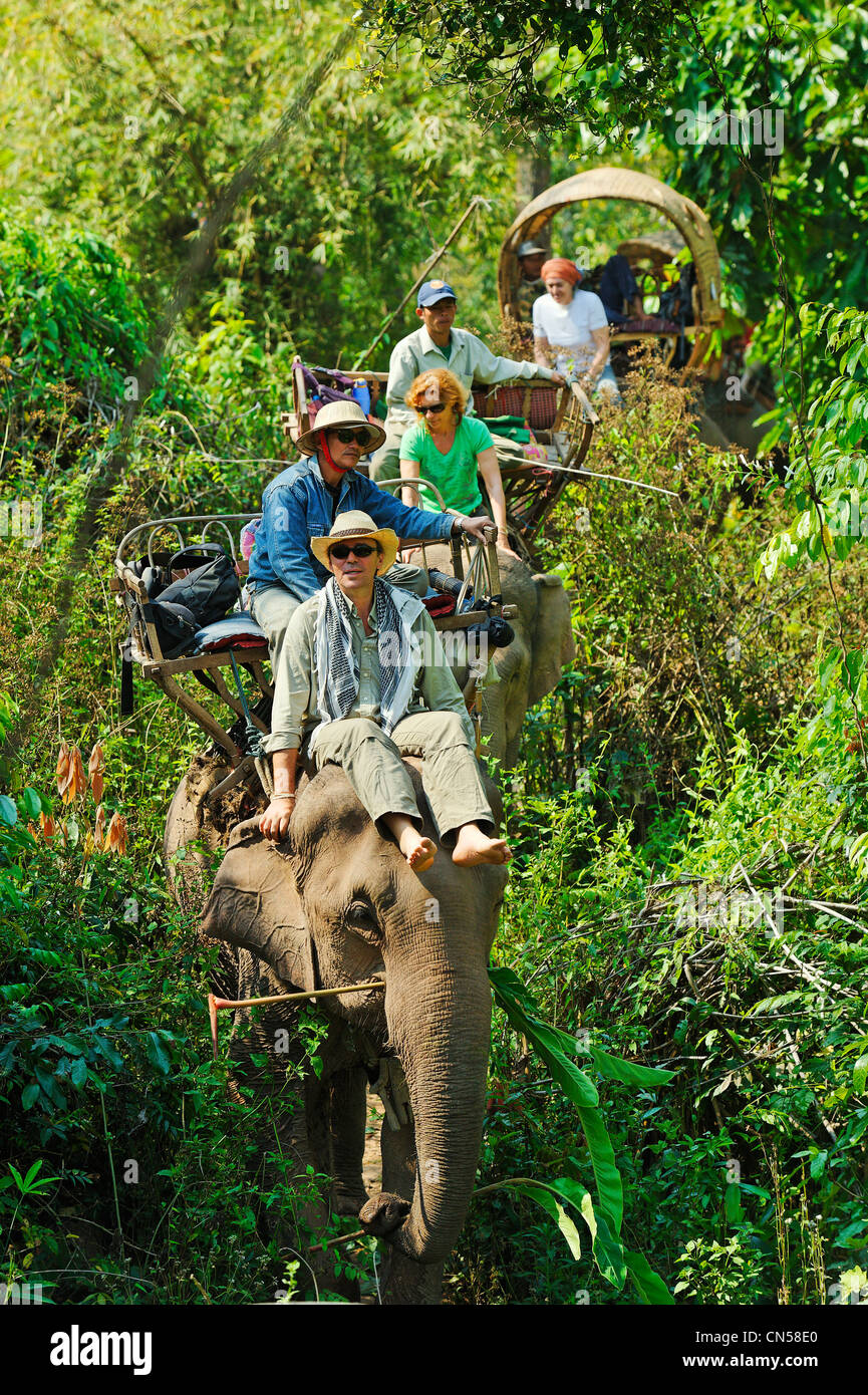 Laos, Sainyabuli Provinz, Thanoon, Wohnwagen von Elefanten in den Wald für eine Wanderung Stockfoto