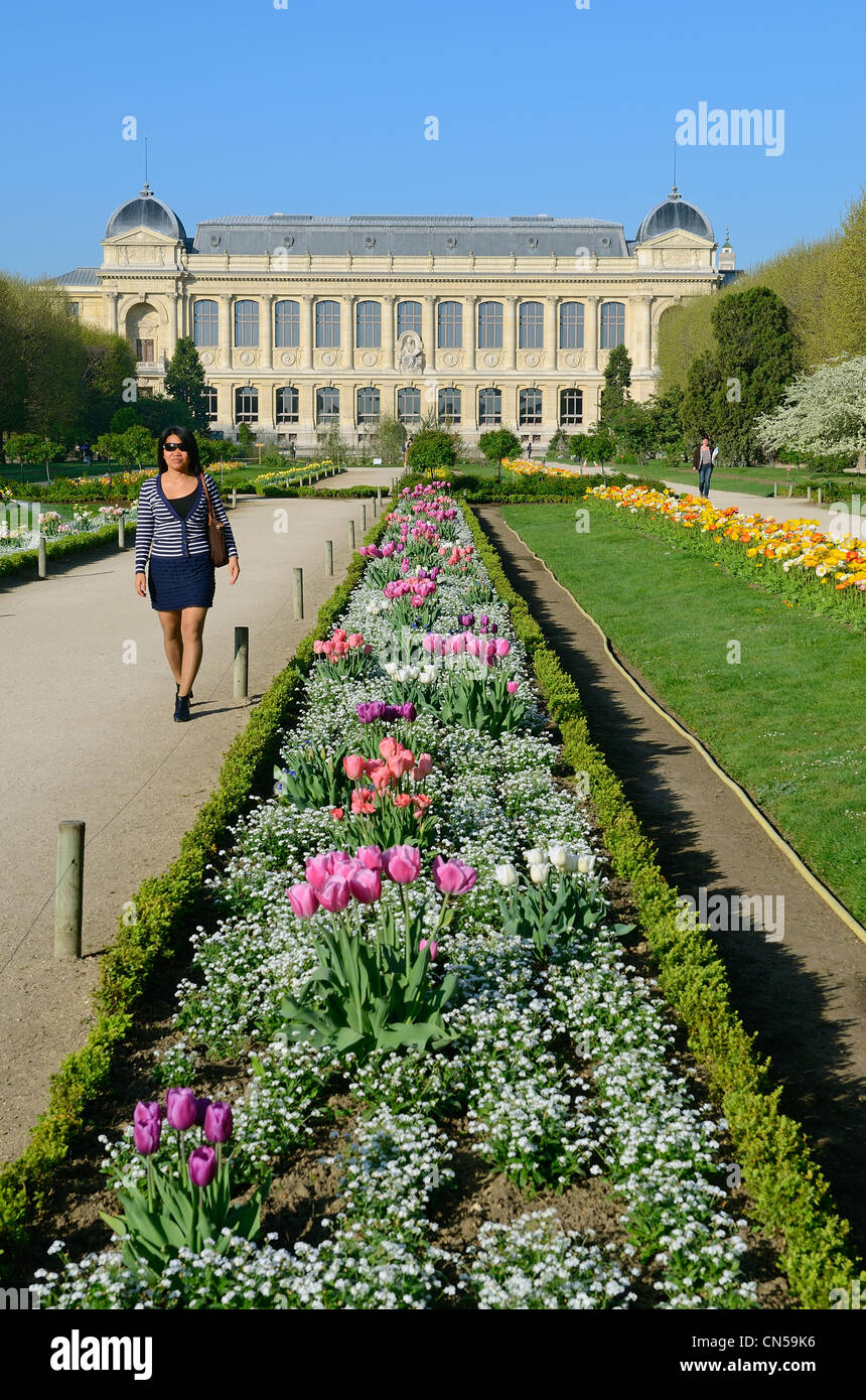 Frankreich, Paris, Museum of Natural History, die Pflanzen-Gärten und der großen Galerie der Evolution Stockfoto