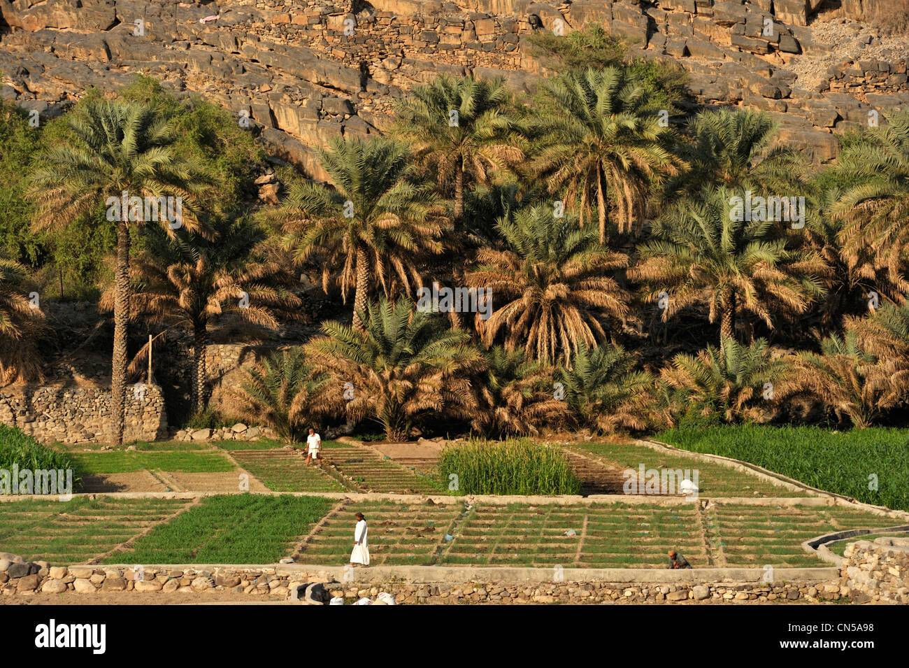 Sultanat von Oman, Al Dakhiliyah Region, westlichen Hajar-Gebirge, Ghul Stockfoto