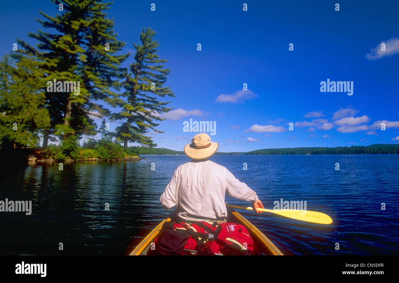 Kanufahren, große Forellensee, Algonquin Park, Ontario Stockfoto