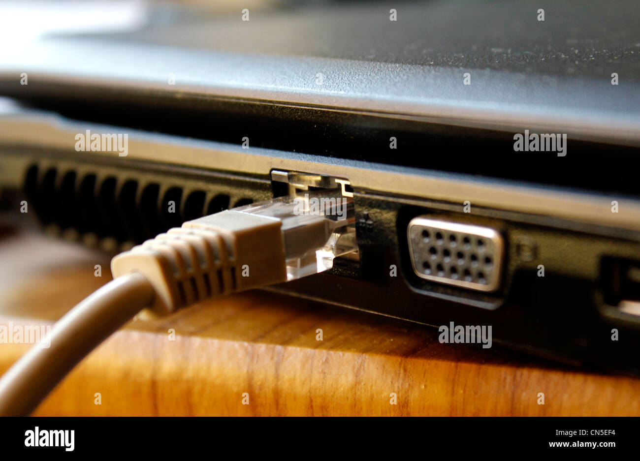 Ein Netzwerk-Kabel an ein Notebook angeschlossen Stockfoto