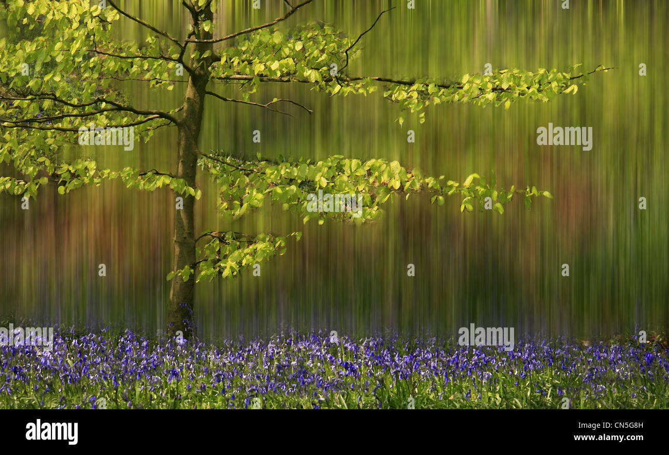 Kreative Bild eines Baumes auf einem grünen und braunen Hintergrund mit einem Teppich aus Glockenblumen an der Basis. Stockfoto