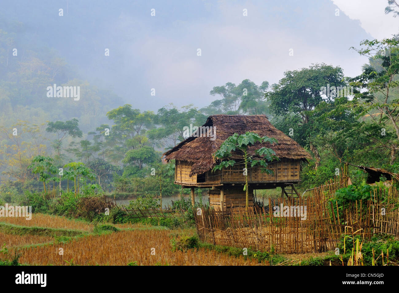 Vietnam, Ninh Binh Province, Cuc Phuong Nationalpark, Ban Hieu, traditionellen Stelzenhaus Stockfoto