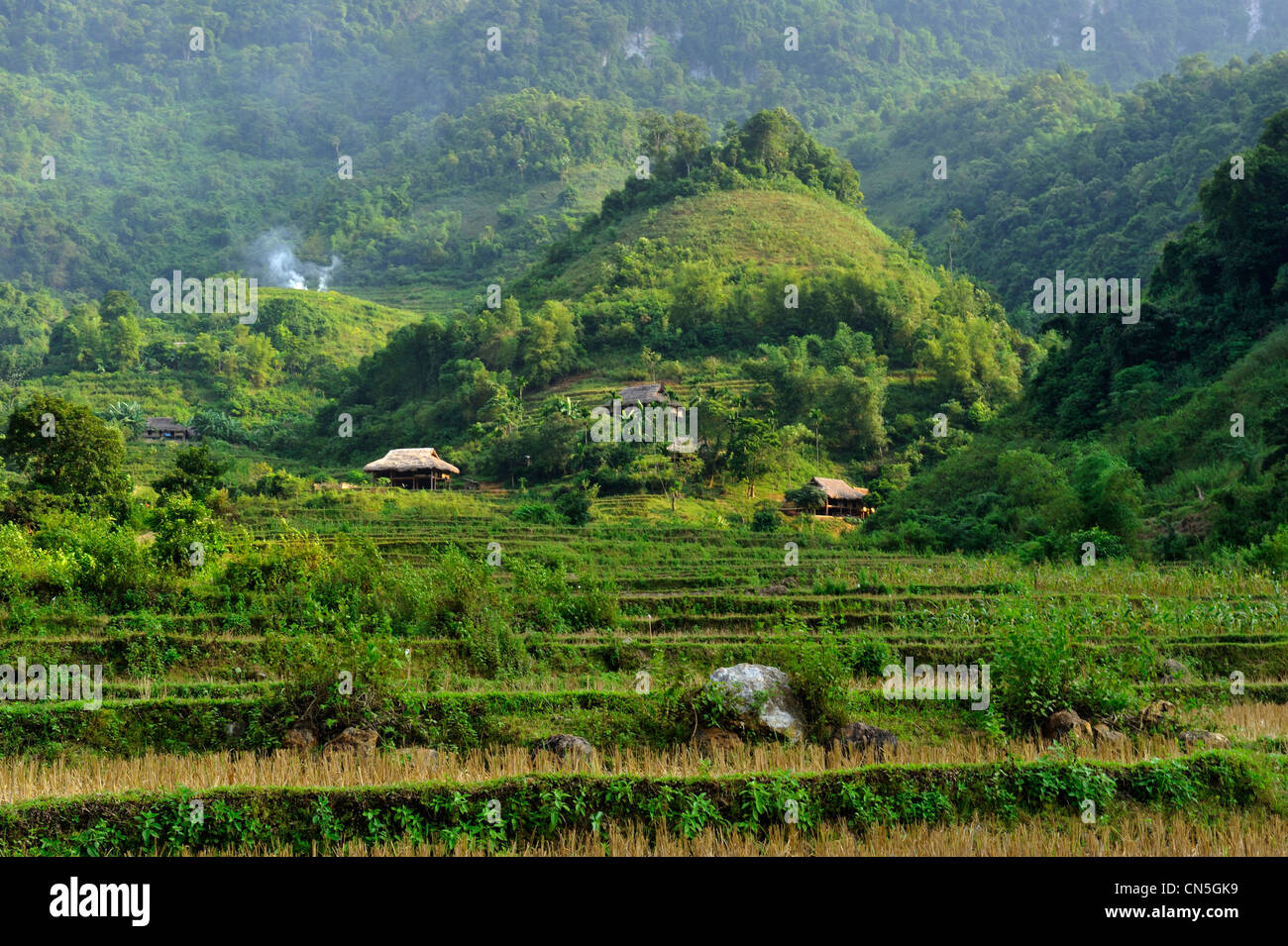 Vietnam, Ninh Binh Province, Cuc Phuong Nationalpark, Ban Hieu, Tal Stockfoto