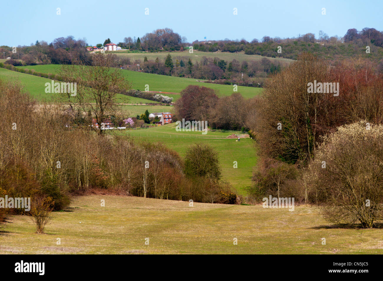 Die North Downs in Kent nahe dem Darent-Tal. Stockfoto