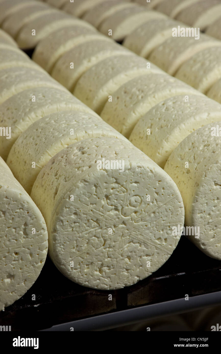 Frankreich, Aveyron, die Causses und Cevennen, mediterrane Agro pastorale Kulturlandschaft, als Weltkulturerbe durch Stockfoto