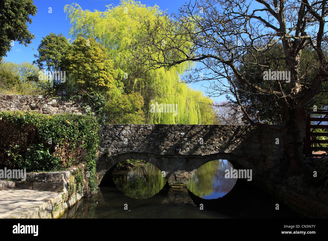 Christchurch Stadt und Fluß Avon, Dorset, England Stockfoto
