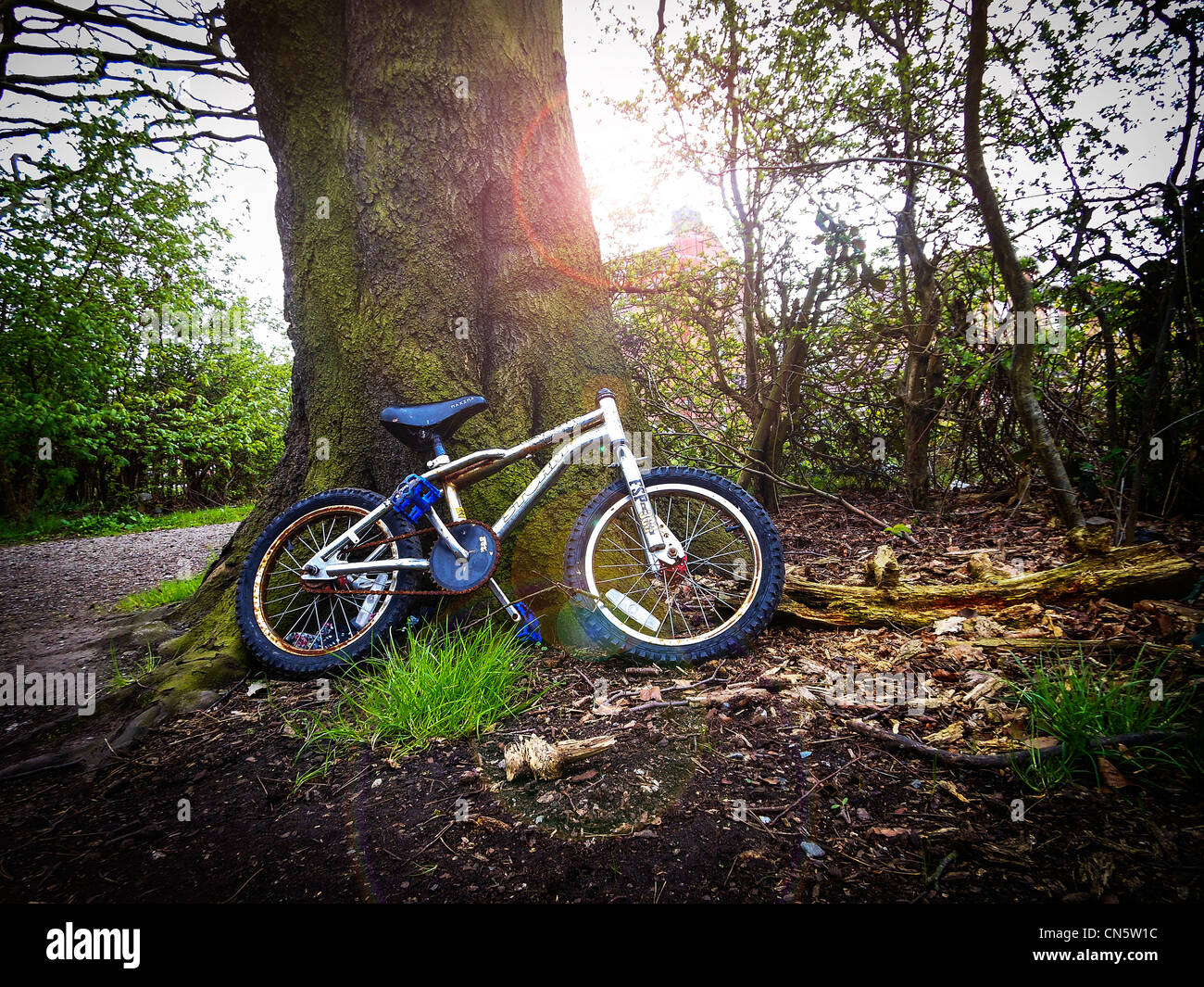 BMX Fahrrad kein verlassen des Landes gegen einen großen Baum Lenker Stockfoto