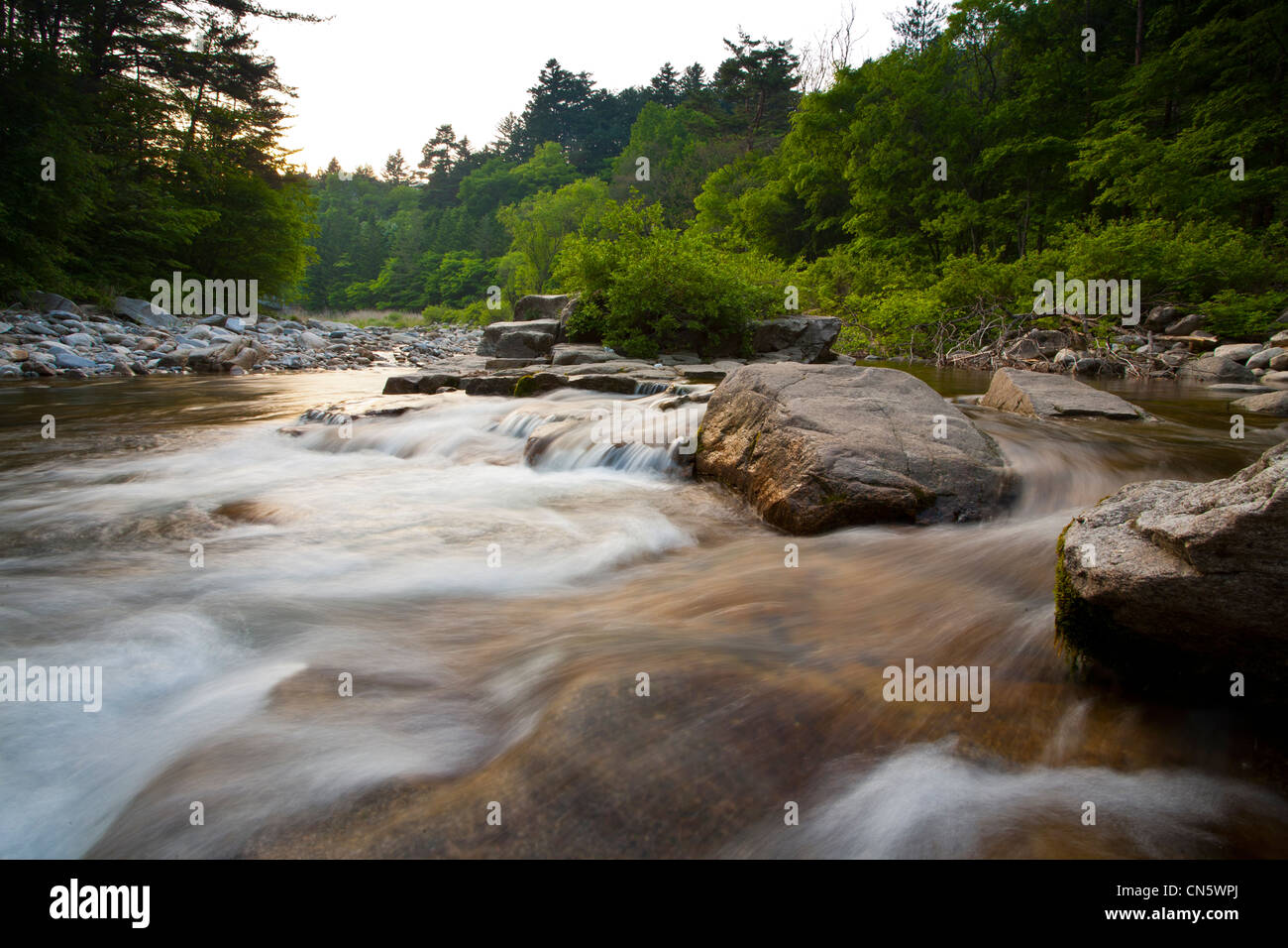 Südkorea, Gangwon-Provinz, Odaesan National Park, Wald und Bach Stockfoto