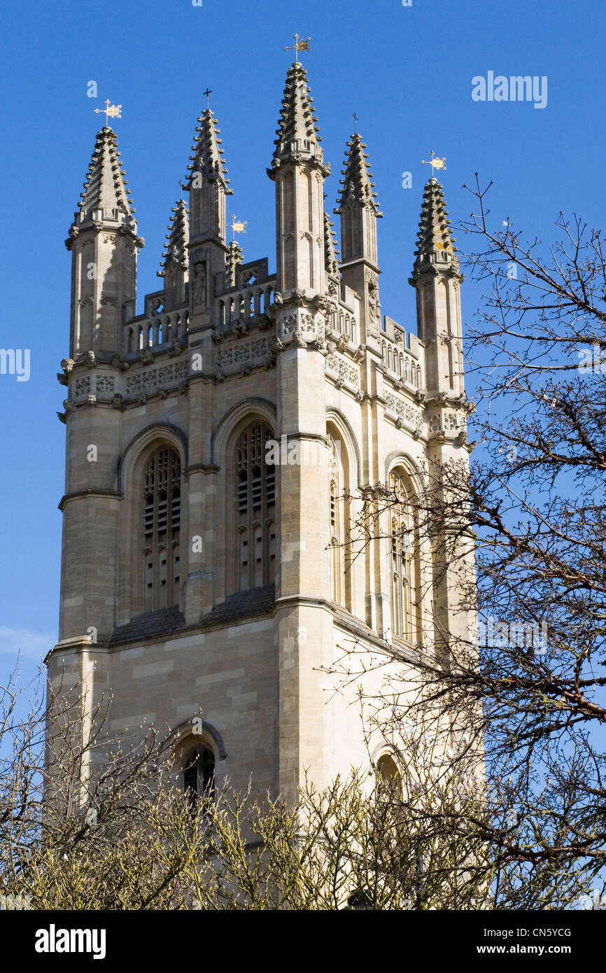 Magdalen Great Tower, Oxford. Stockfoto