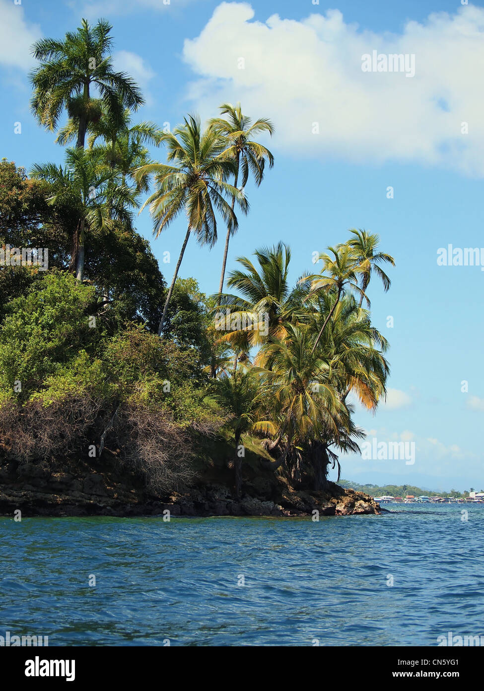 Tropischen Insel mit schönen Palmen Stockfoto