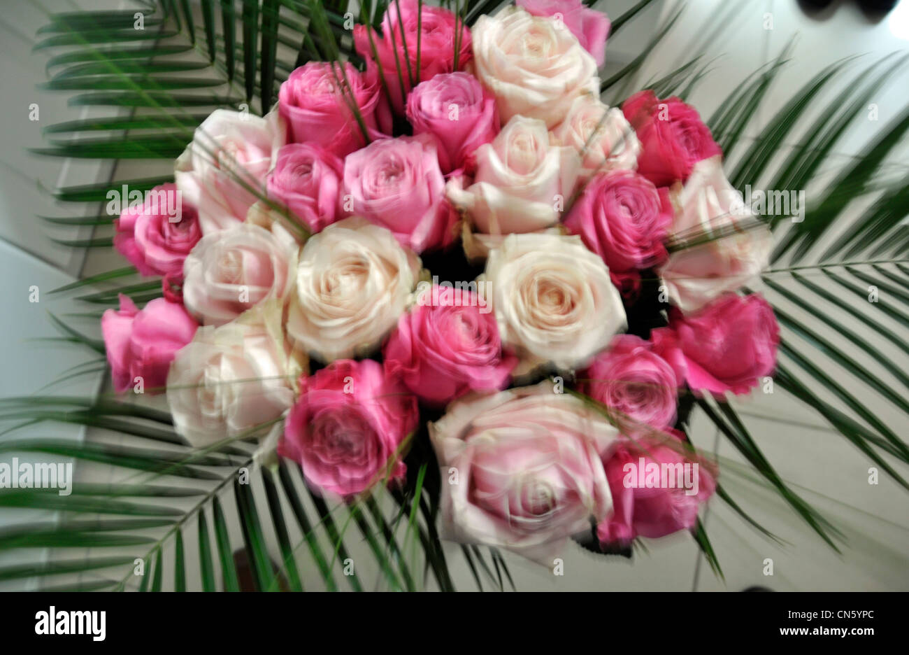 Rosa Creme Flieder rose Bouquet & Palmenblättern Stockfoto