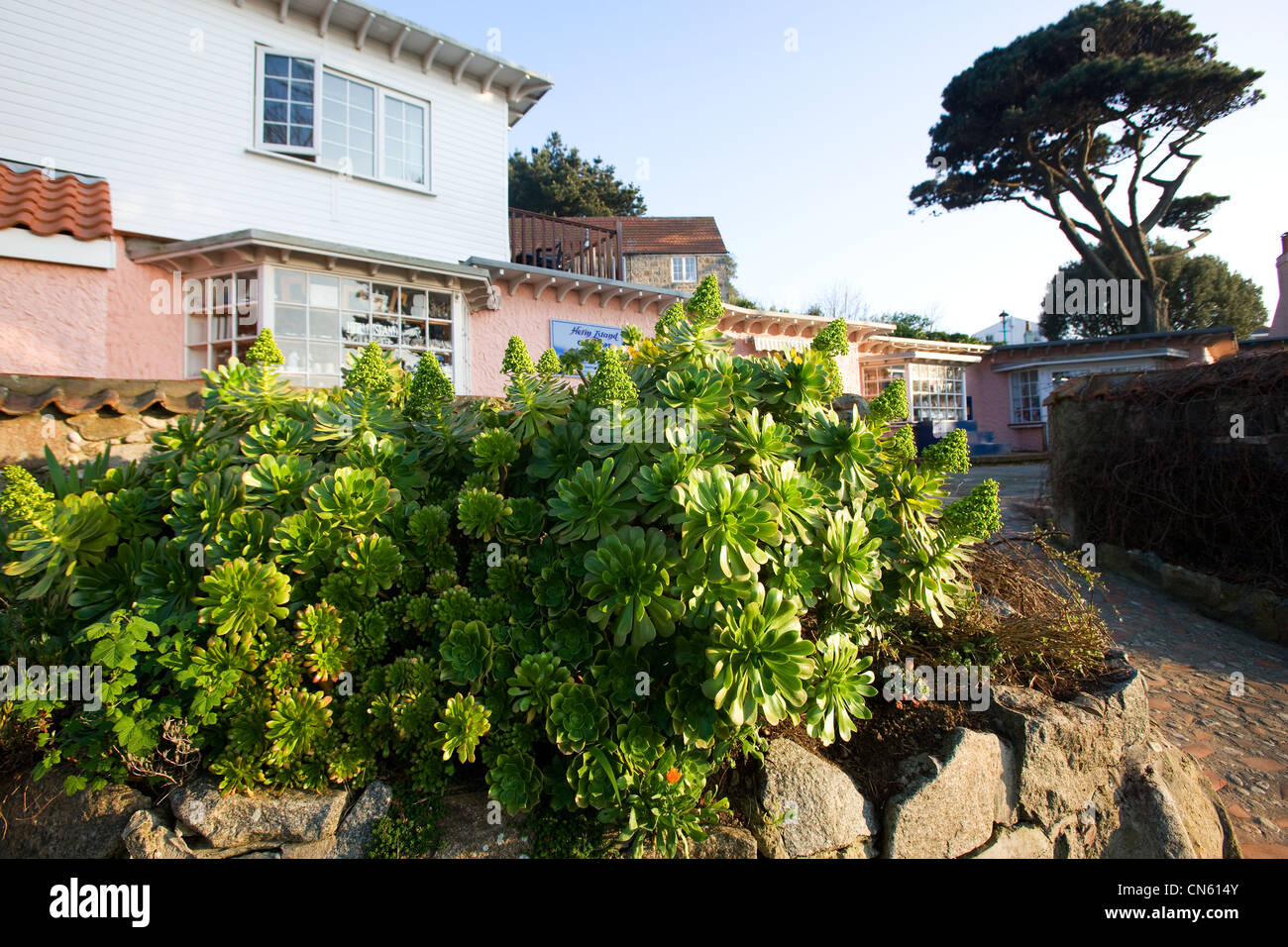 Vereinigtes Königreich, Kanalinseln, Insel Herm, Geschenke-shop Stockfoto