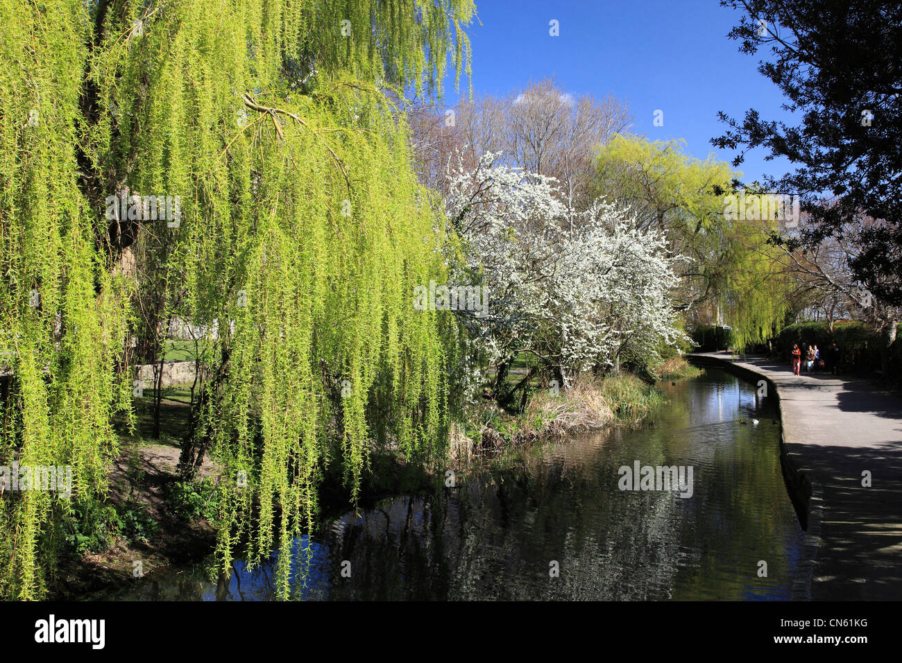 Fluß Avon in der Stadt Christchurch, Dorset, England Stockfoto