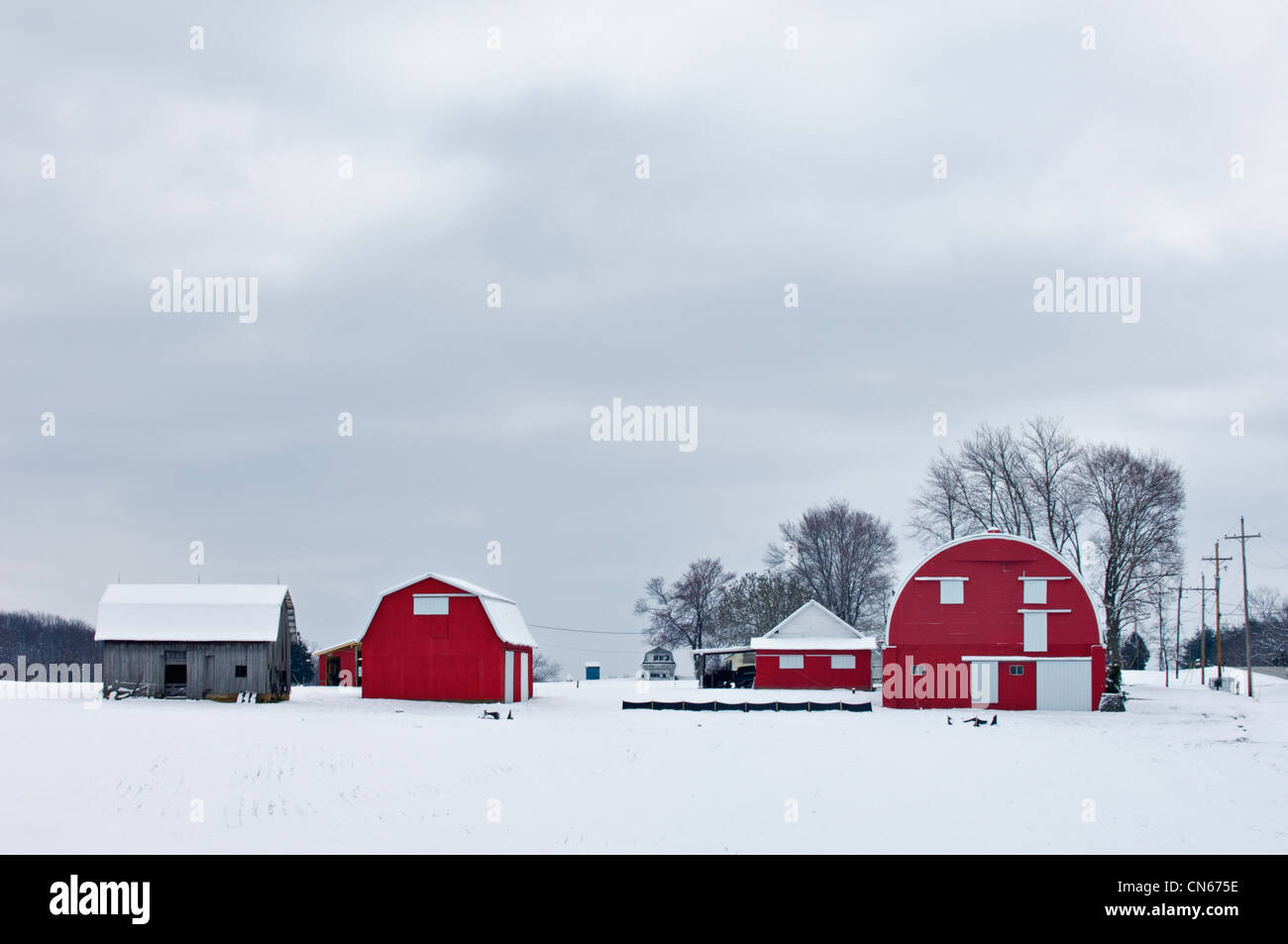 Roten Scheunen im Schnee auf des Mittelwestens Bauernhof im Harrison County, Indiana Stockfoto