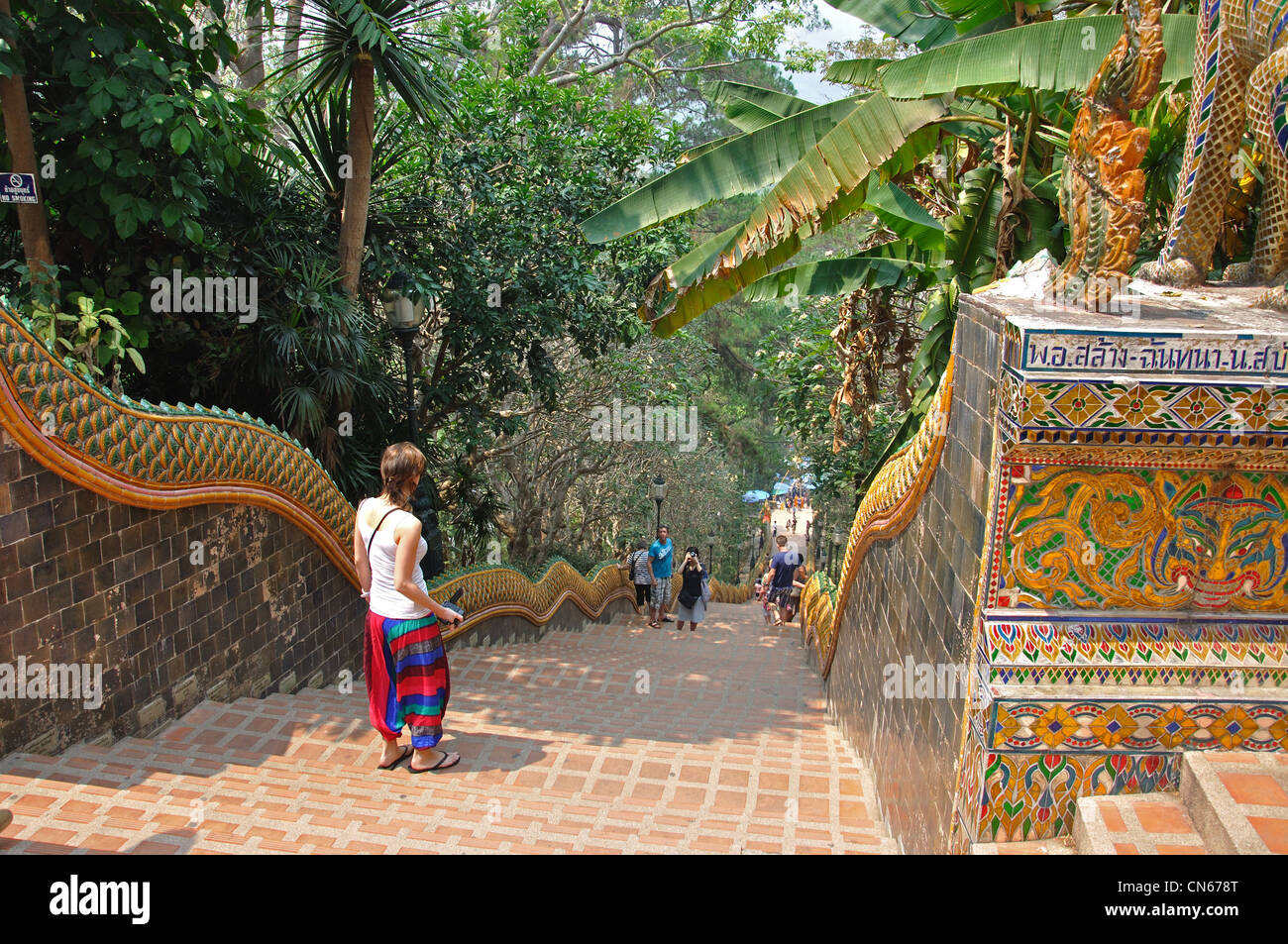 Treppen aus Wat Phrathat Doi Suthep buddhistischen Tempel Doi Suthep, Chiang Mai, Provinz Chiang Mai, Thailand Stockfoto