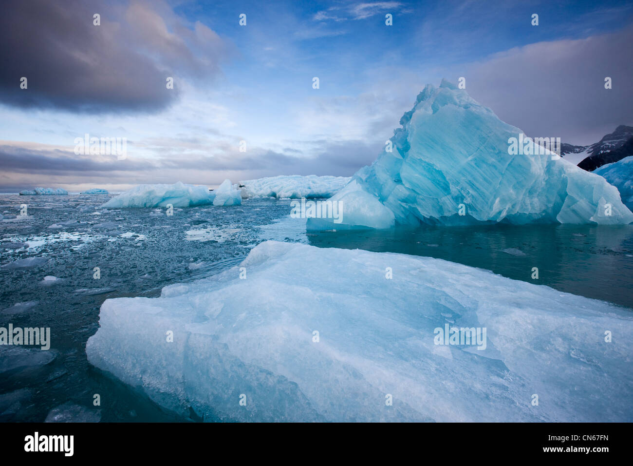 Norwegen, Svalbard, Spitzbergen Insel, tief blaue Eisberge in der Nähe des Sveabreen-Gletschers in Nordfjorden am Sommerabend Stockfoto