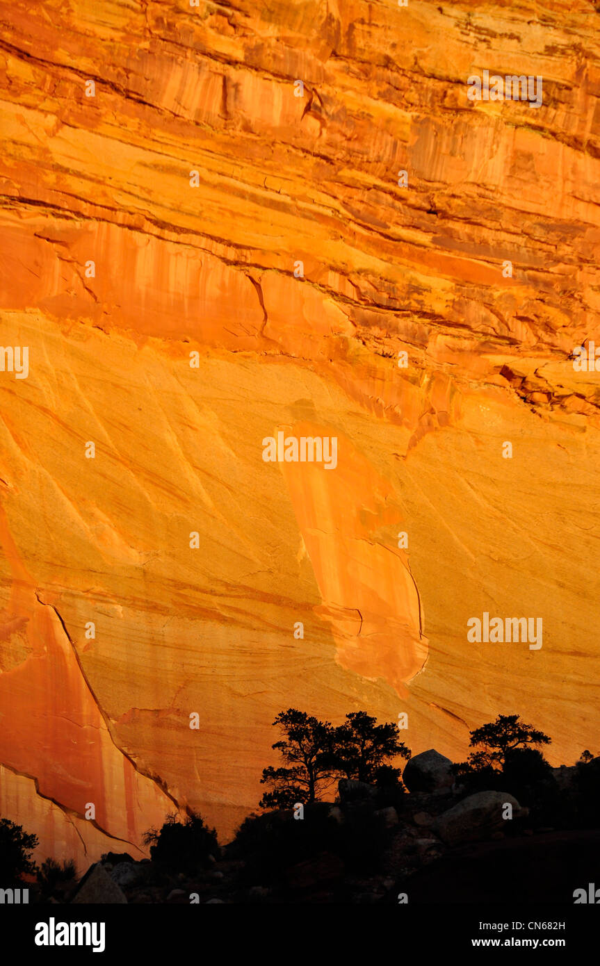 Sonnenuntergang über Felswand, Capital Reef National Park, Utah. Stockfoto