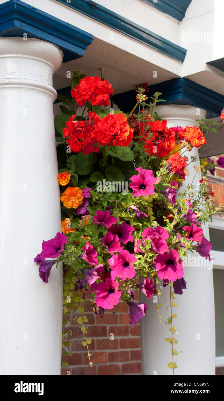 Blüten in hängenden Korb zwischen zwei weiße Säulen Stockfoto