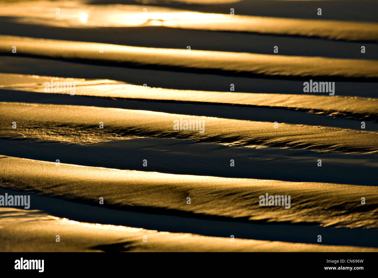 Sand Wellen reflektierenden Abendlicht bei Ebbe Stockfoto