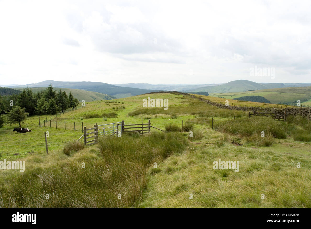 Hagg Seite Moor in Derbyshire im Peak District Stockfoto