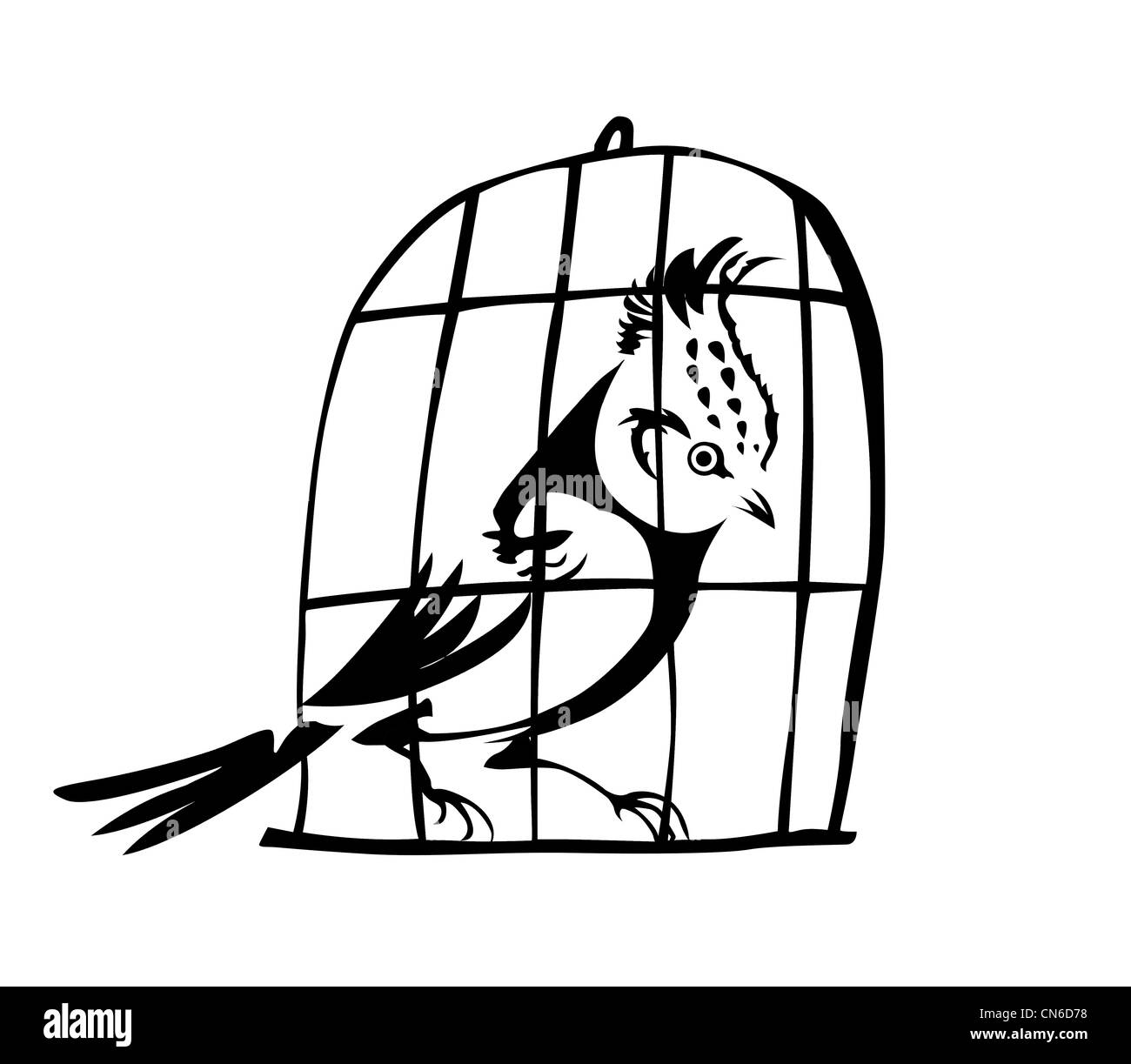 Stieglitz im Stall auf weißem Hintergrund Stockfoto