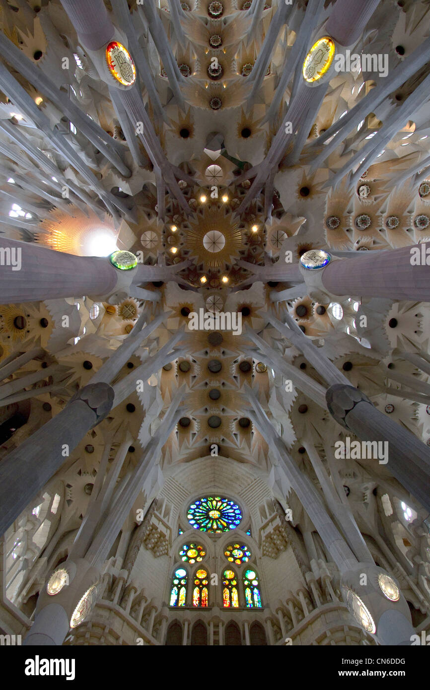 Das Dach des Innenraums von Antoni Gaudis Sagrada Familia Stockfoto
