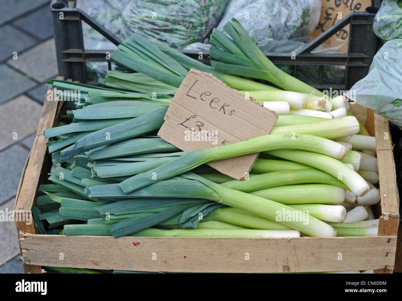 Holzkiste Lauch zum Verkauf an der Brighton und Hove City Food and Drink Festival UK Stockfoto
