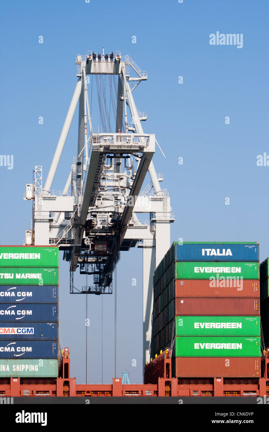 Container-Kran im Hafen von Rotterdam Stockfoto
