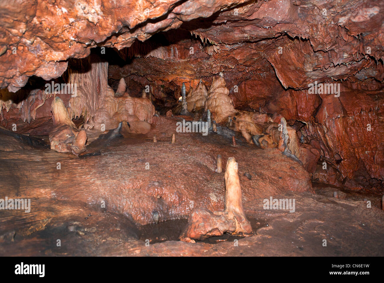 Kents Cavern in Devon, Großbritannien Stockfoto