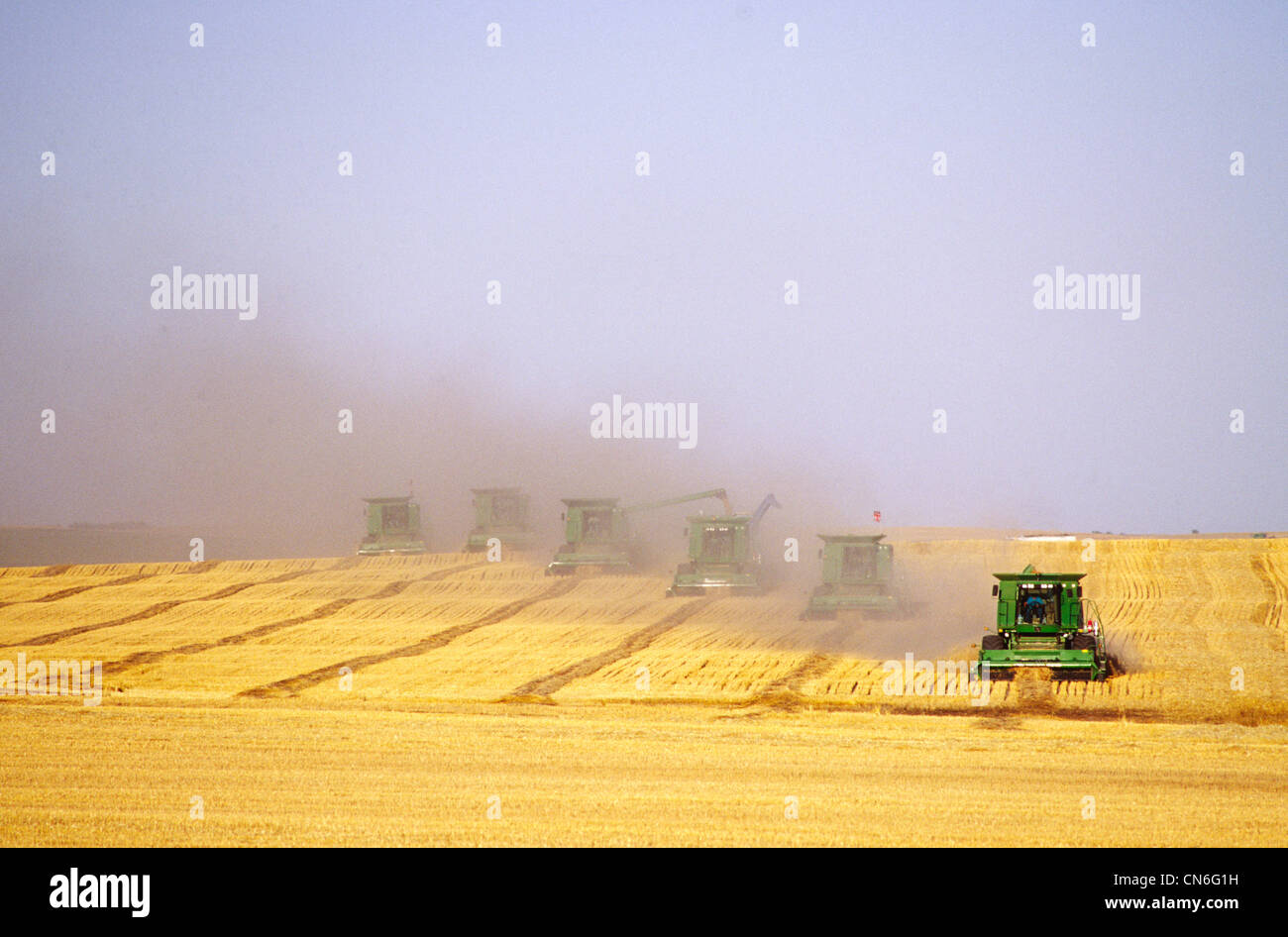 Kombiniert Ernte Felder, Fort Mcleod, Alberta Stockfoto