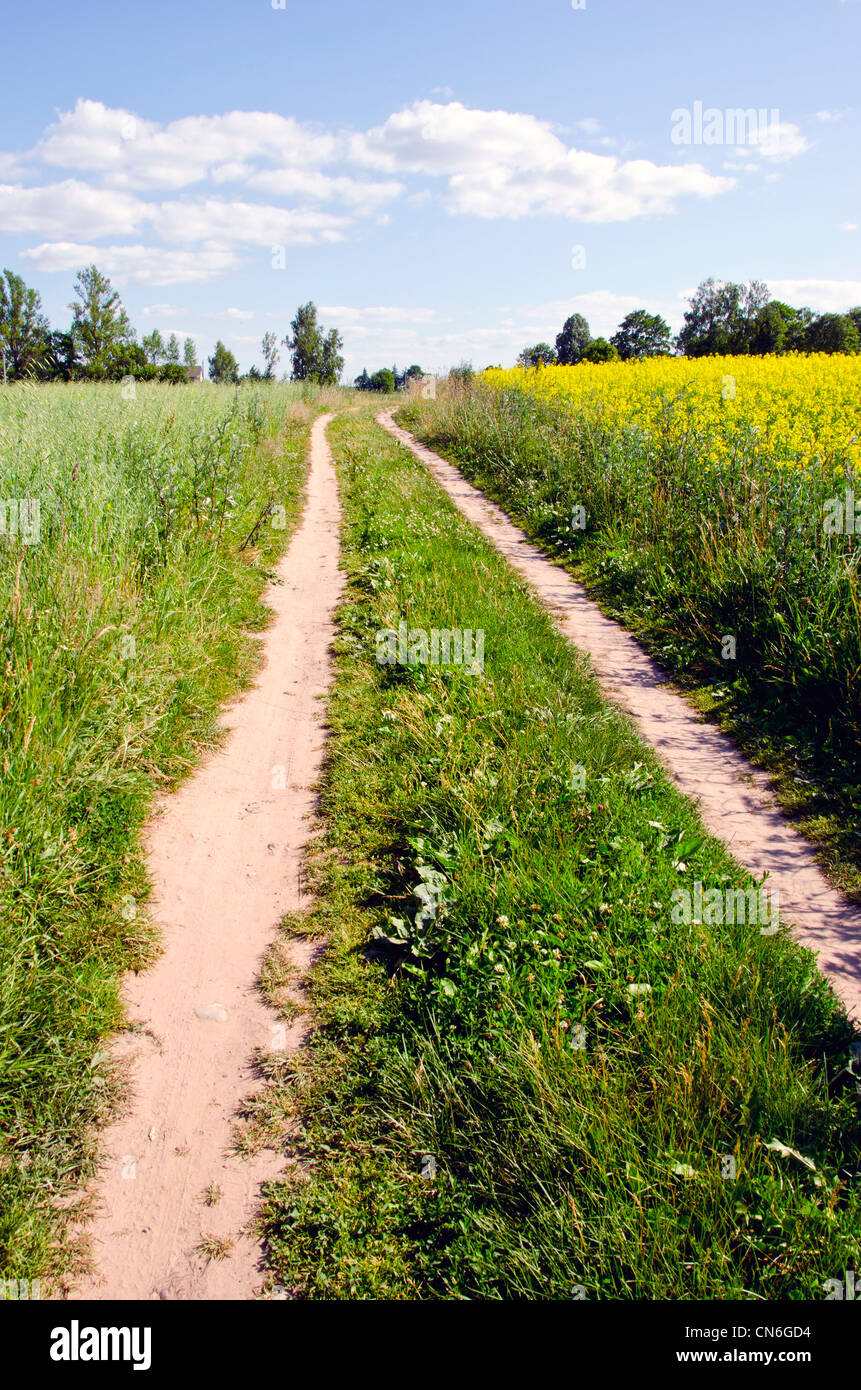 Natürlichen ländlichen Kies Straße Rapsfelder und blauen Wolkenhimmel Natur Hintergrund. Stockfoto