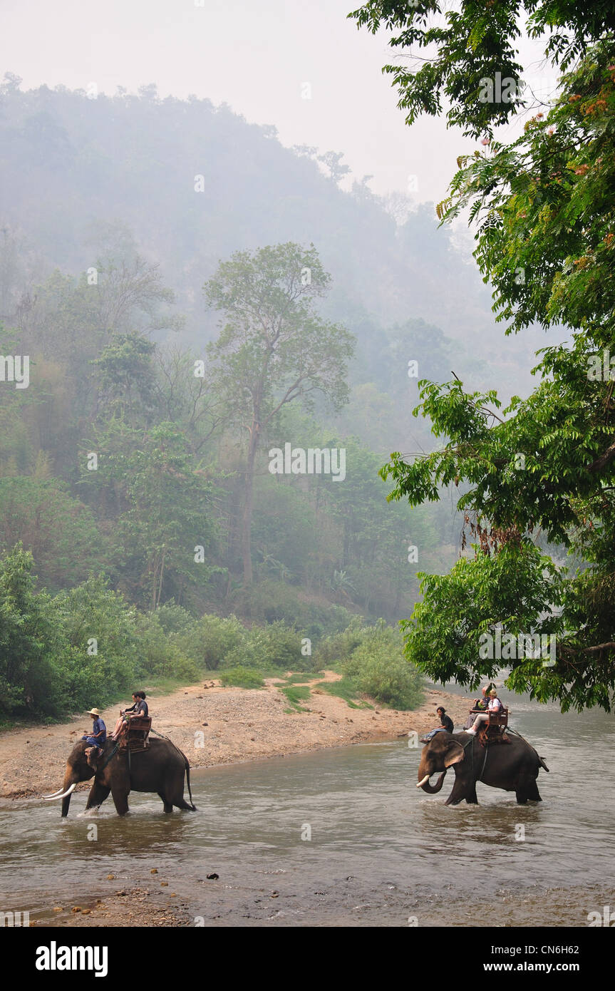 Elefant-Fluss trek Maetaman Elephant Camp in der Nähe von Chiang Mai, Provinz Chiang Mai, Thailand Stockfoto