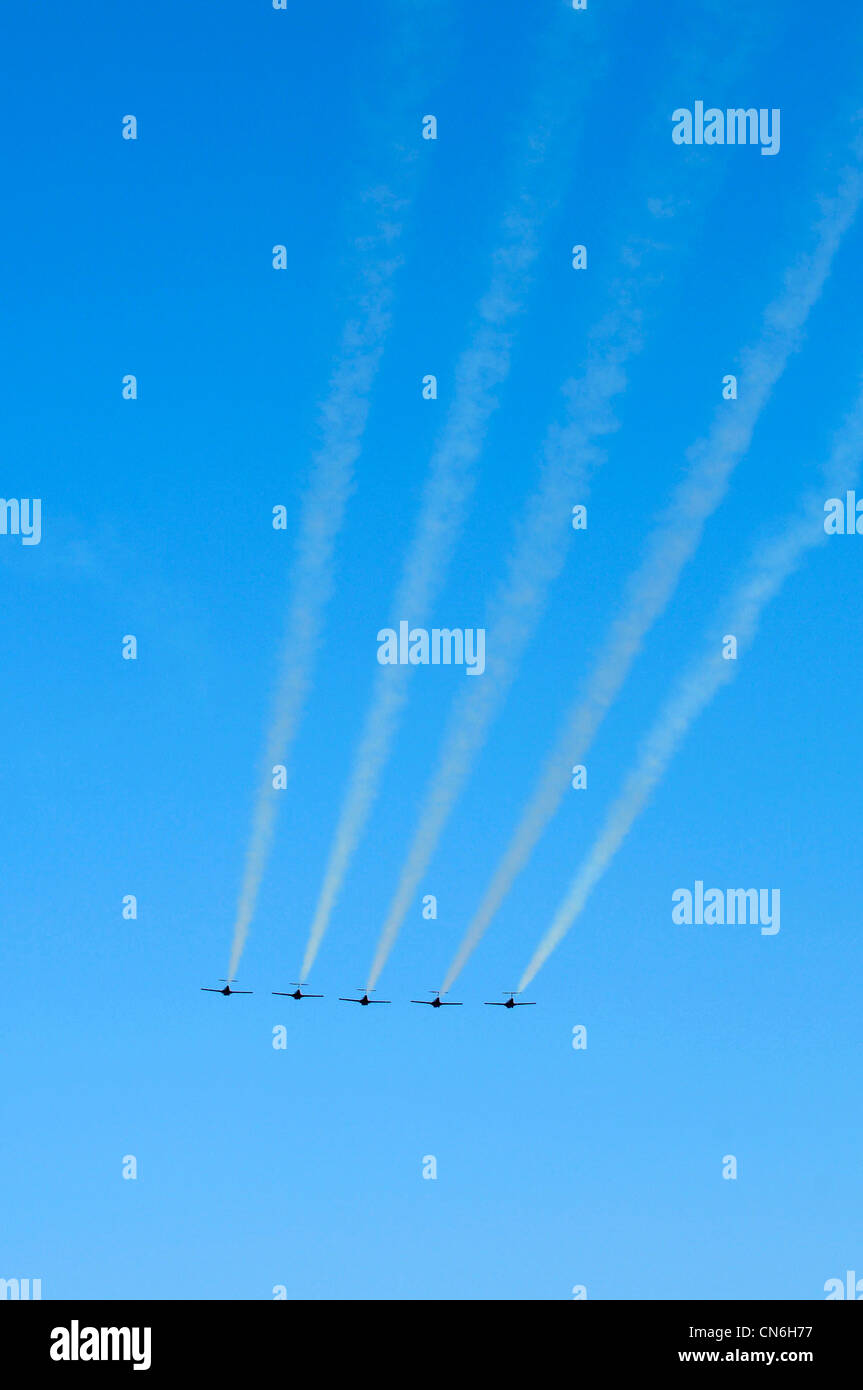 Snowbirds Flugschau, Toronto, Ontario Stockfoto